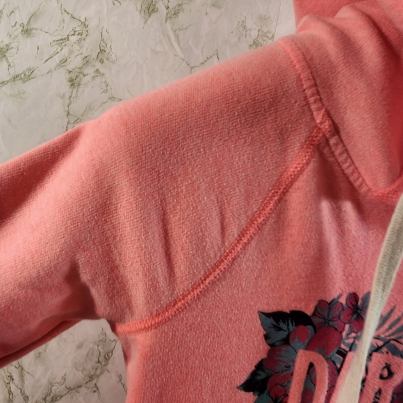 American Eagle Outfitters PARADISE Hoodie - Picture 2 of 12